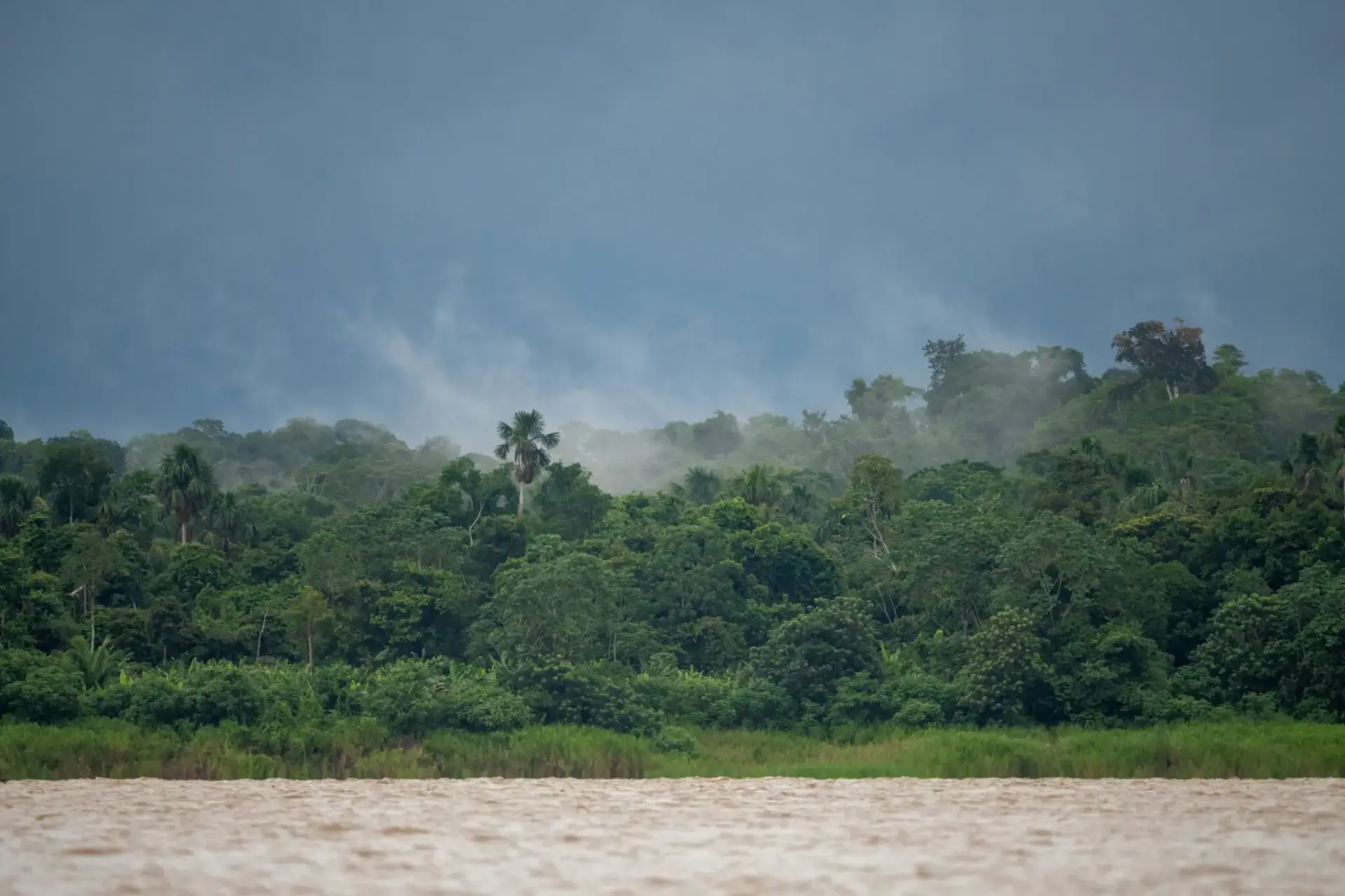 jbs-deforestacion-amazonia-greenpeace-portada JBS deforestación Amazonía