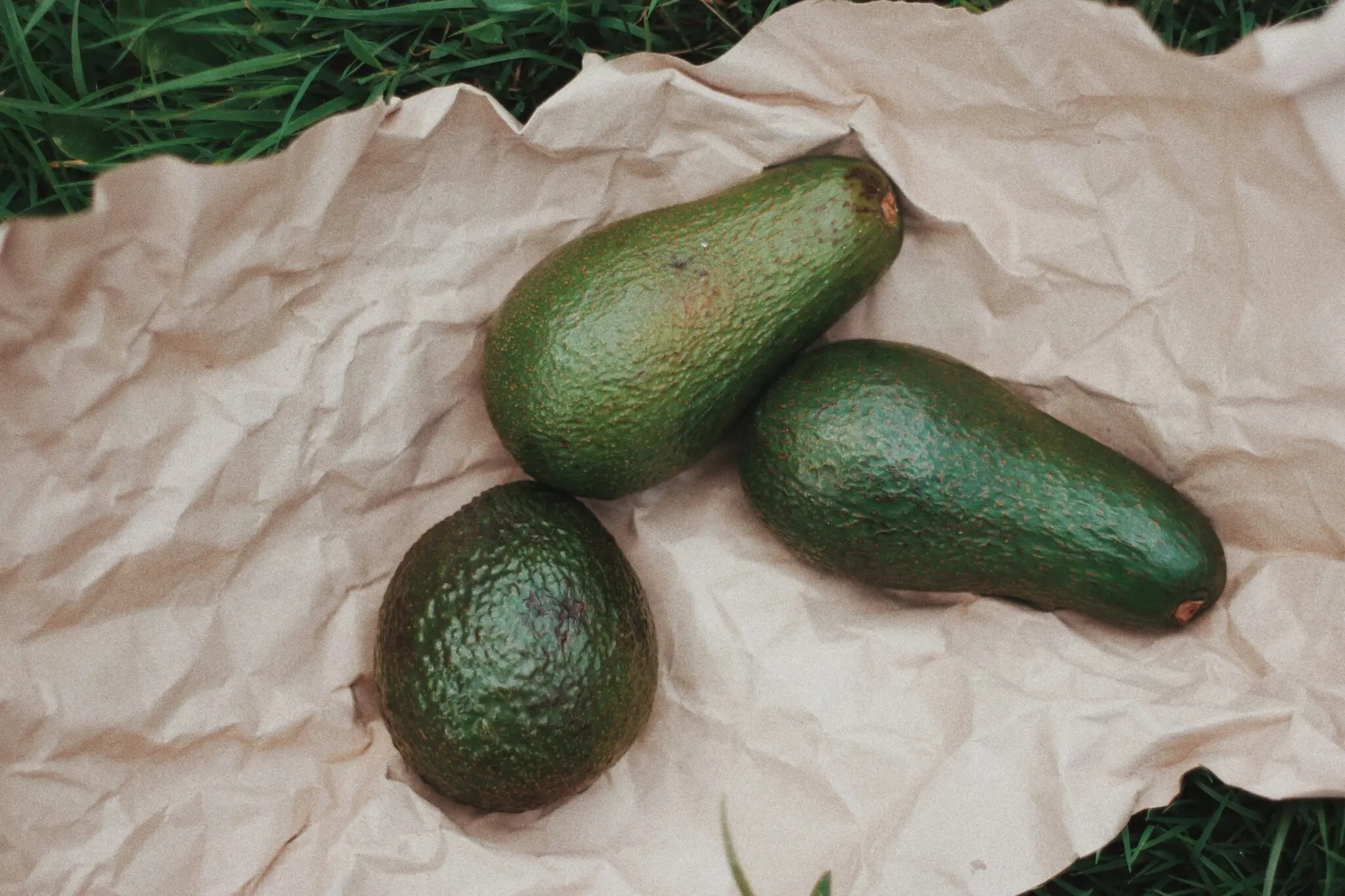 El truco exprés para madurar un aguacate duro en 10 minutos: pulpa cremosa sin esperar días 1 Moncloa aguacate duro truco