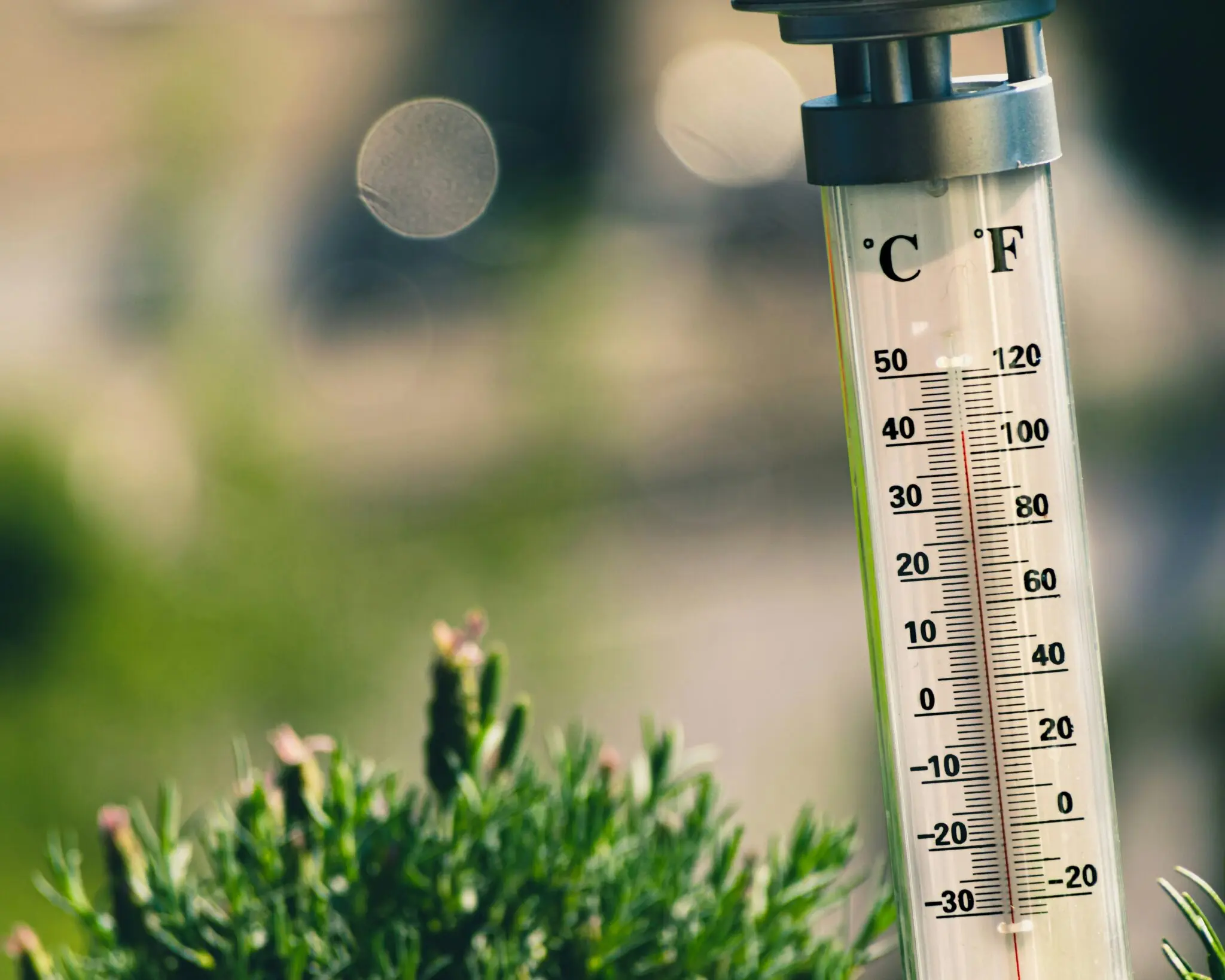Dos estudios británicos atribuyen al cambio climático dos tercios de las 50.000 muertes por calor en Europa 1 Moncloa cambio climático salud