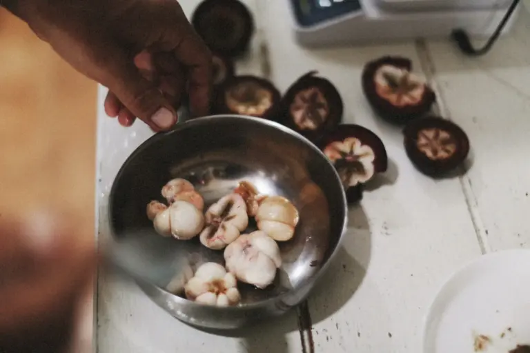 Níscalos robellones temporada: el truco para elegirlos y las recetas de otoño que triunfan
