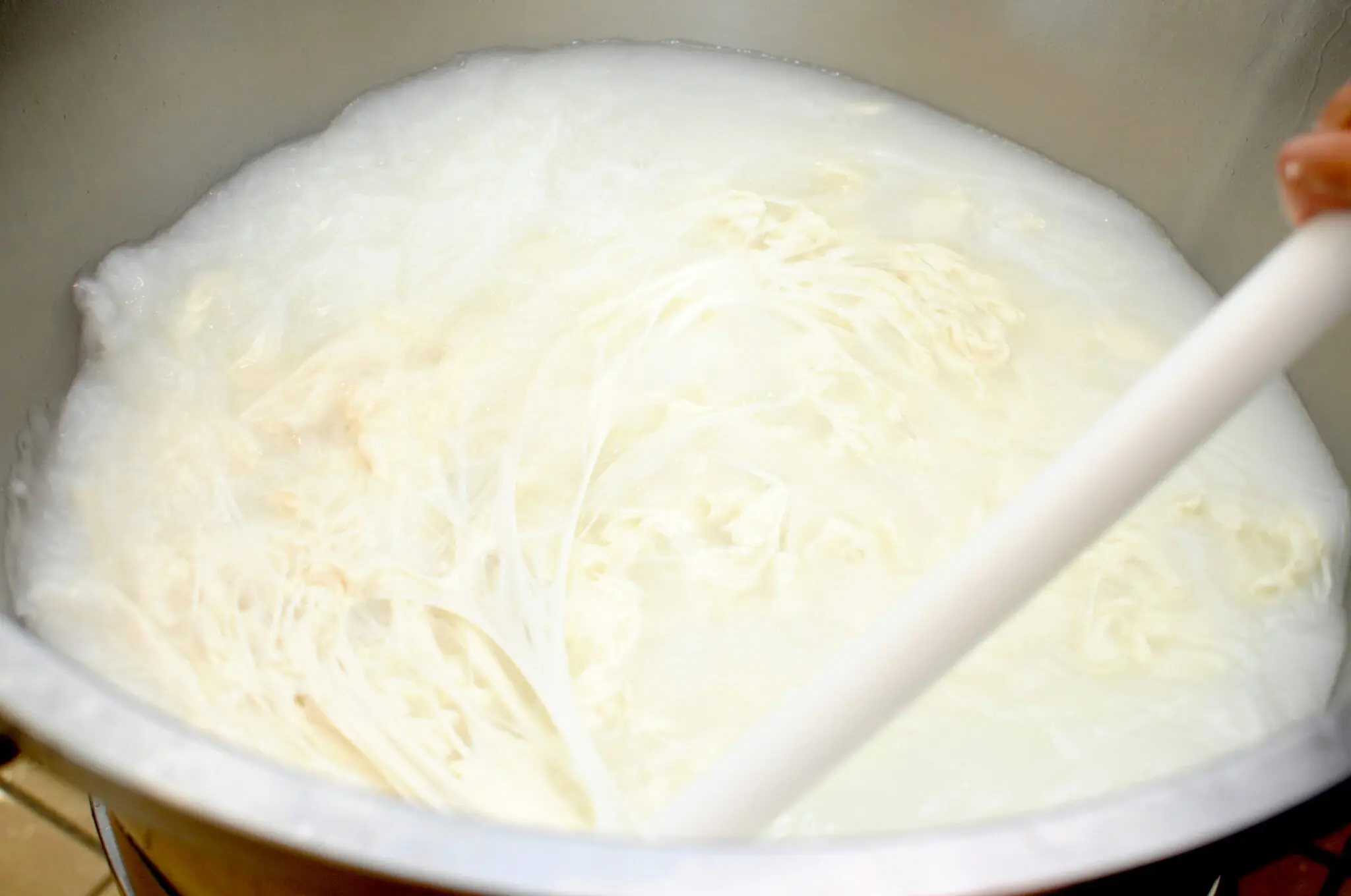 Adiós a las natillas de bote: el postre de leche y azúcar de la abuela listo sin horno en 20 minutos 1 Moncloa natillas caseras fáciles