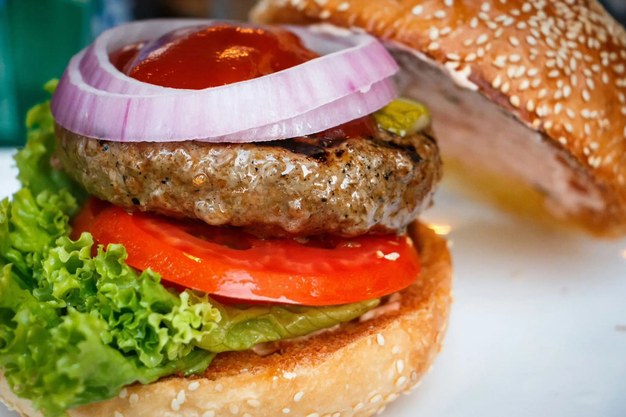 preparados-hamburguesa-ocu-burger-meat-portada preparados de hamburguesa OCU