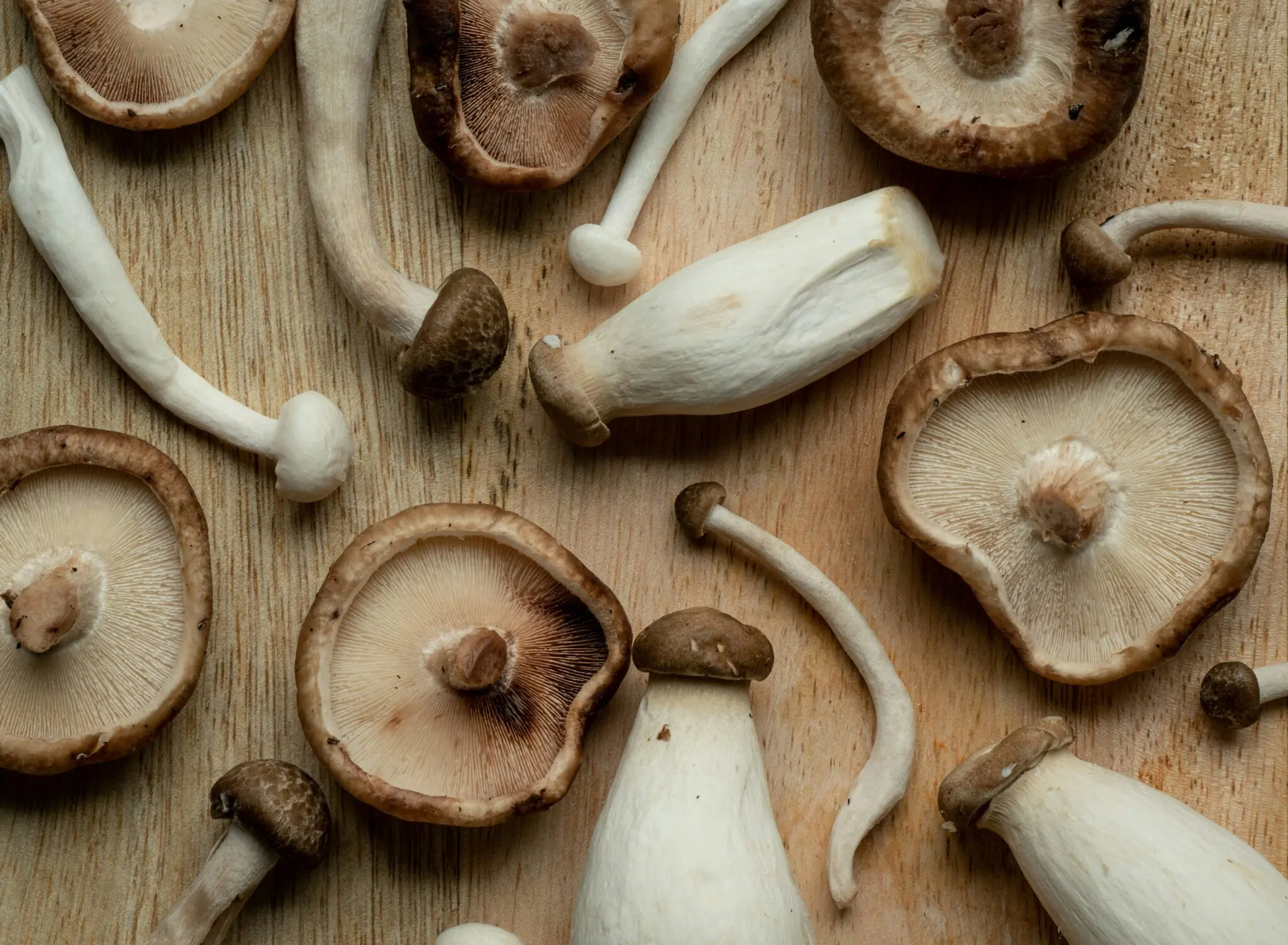 El truco de un chef italiano para un risotto de boletus cremoso y crujiente en 35 minutos 1 Moncloa risotto de setas