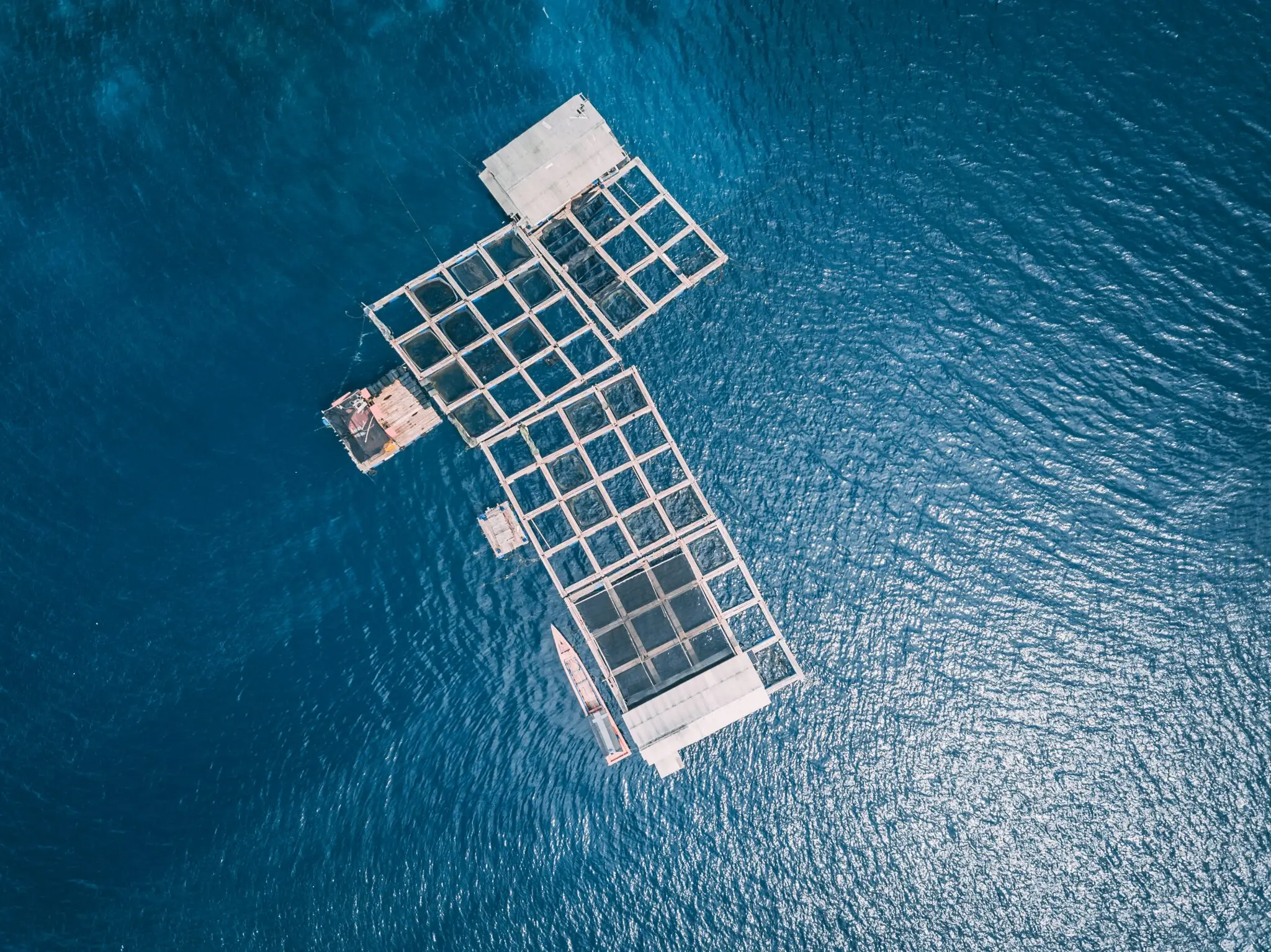 solar-flotante-marina-puerto-v-fotovoltaica-offshor-1 fotovoltaica offshore