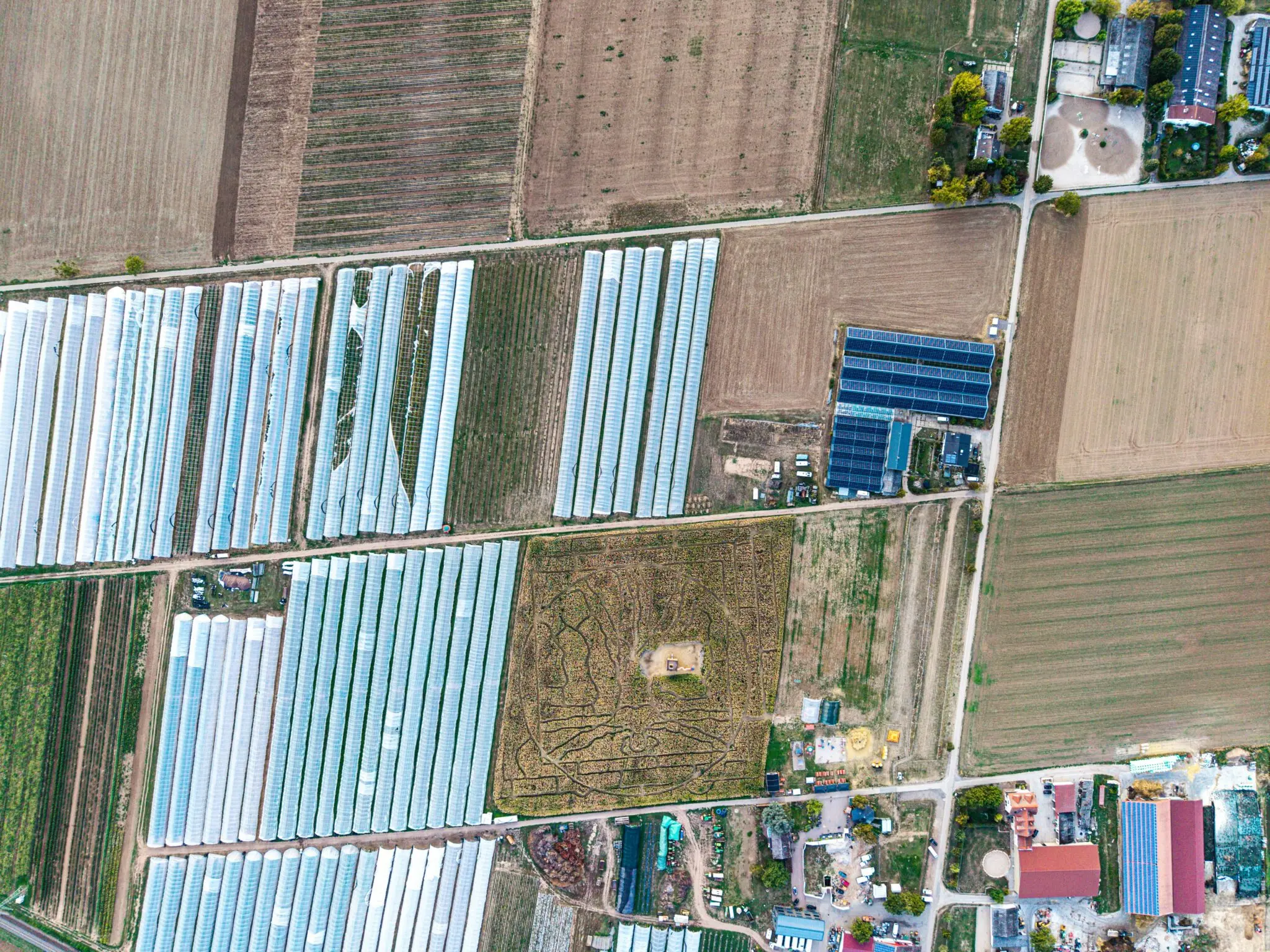 usda-programa-reap-solar-portada programa REAP solar