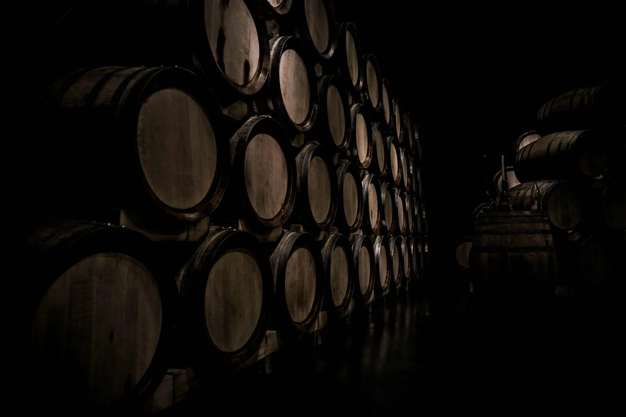Así es el vino Rafa Nadal Jumilla: el tenista se lanza a conquistar el mundo del vino 1 Moncloa Nadal bodega vino